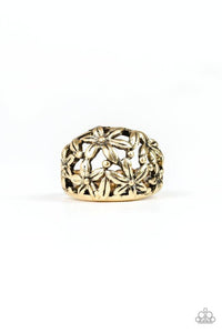 Haute Havana - Brass Ring - Paparazzi